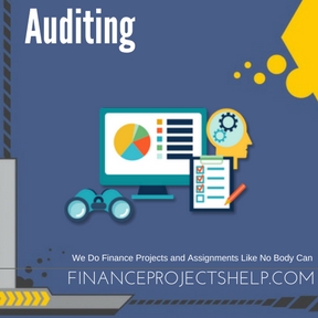 Auditing Project Help